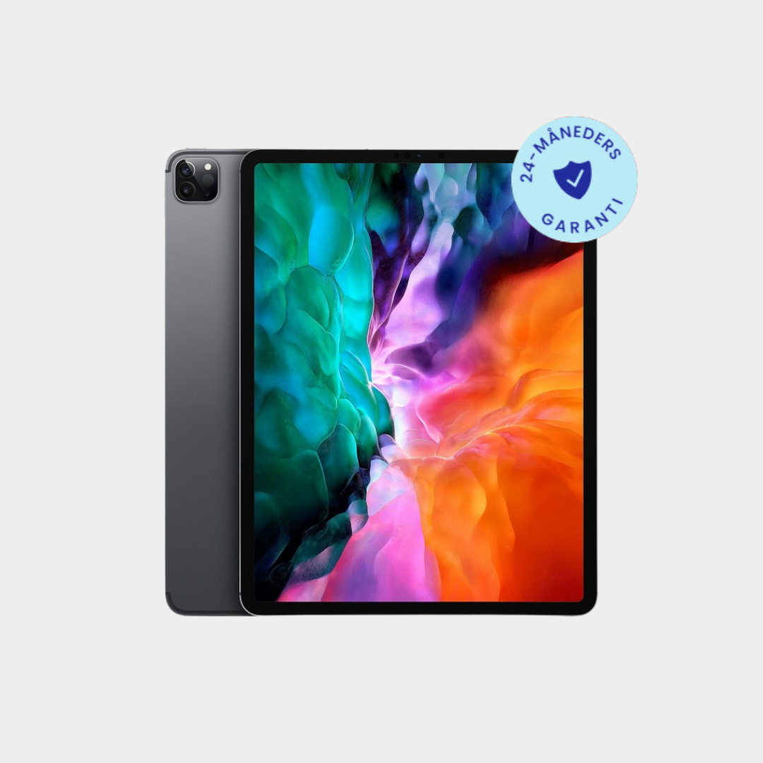 iPad Pro 5. gen. 12,9" (2020)