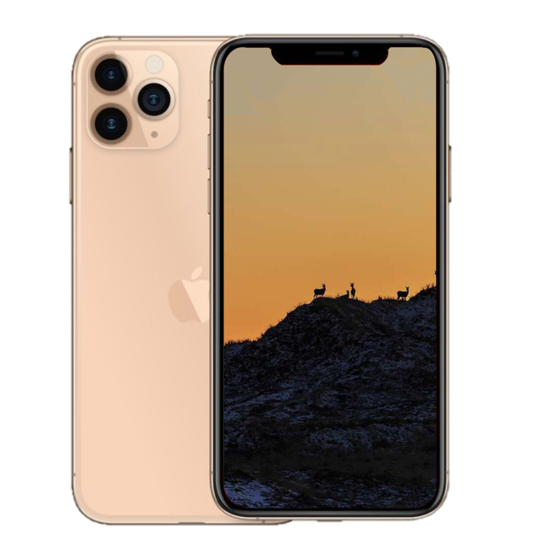 iPhone 11 Pro Max