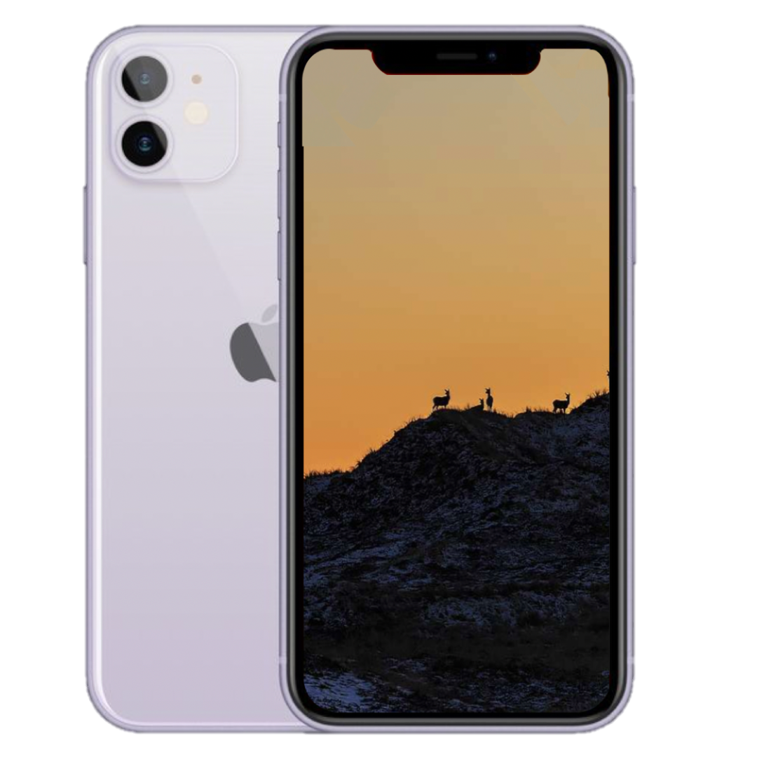 iPhone 11
