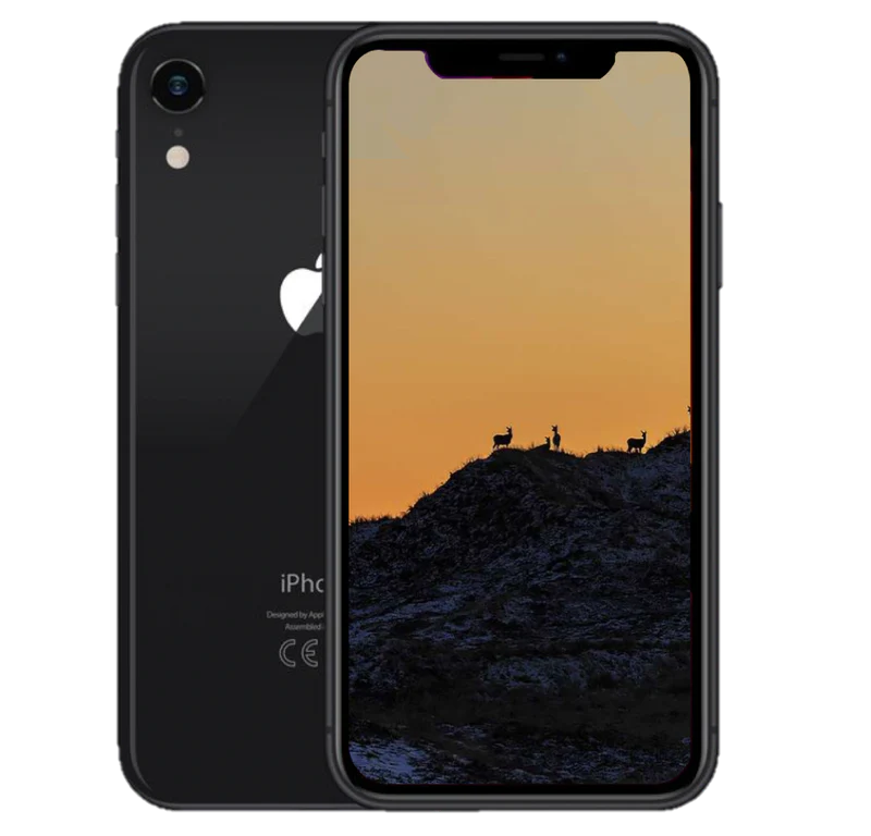 iPhone XR reparation